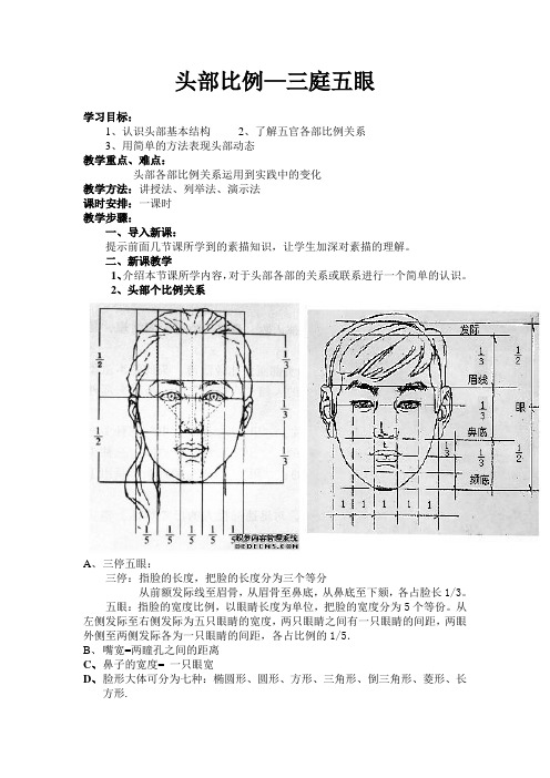 头部比例—三庭五眼