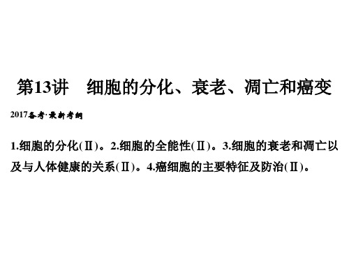 一轮复习细胞的分化、衰老、凋亡和癌变课件40ppt