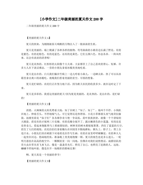 [小学作文]二年级美丽的夏天作文200字