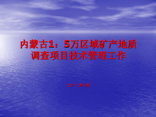 内蒙古1：5万区域矿产地质调查技术管理