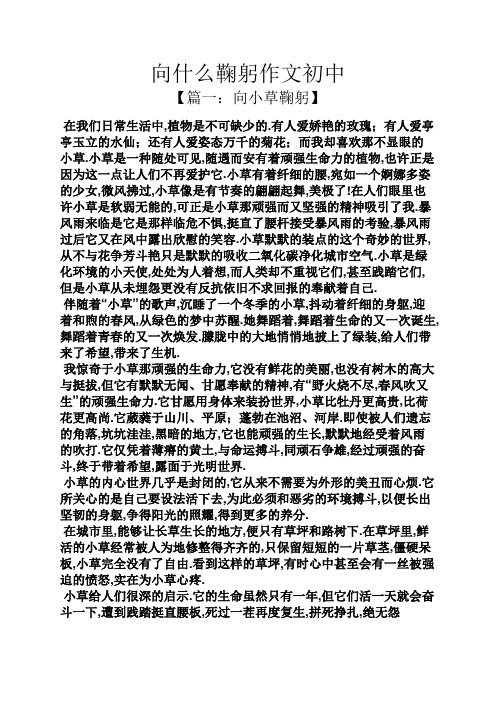初三作文之向什么鞠躬作文初中