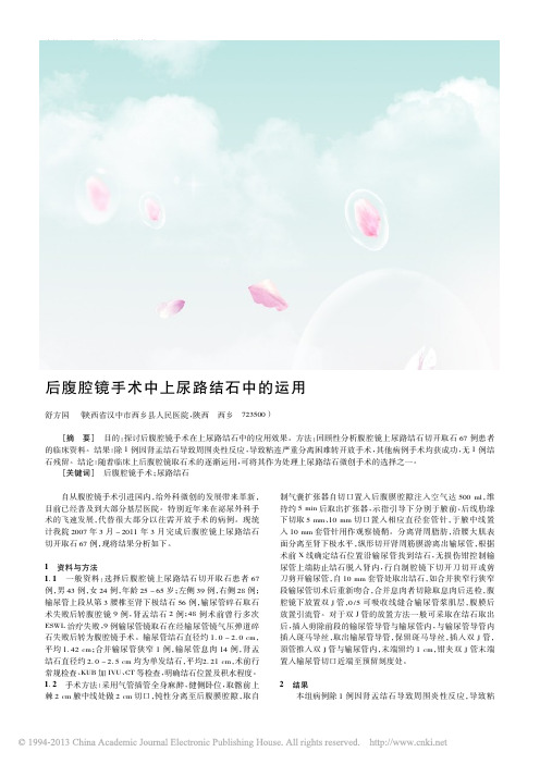 后腹腔镜手术中上尿路结石中的运用_舒方国