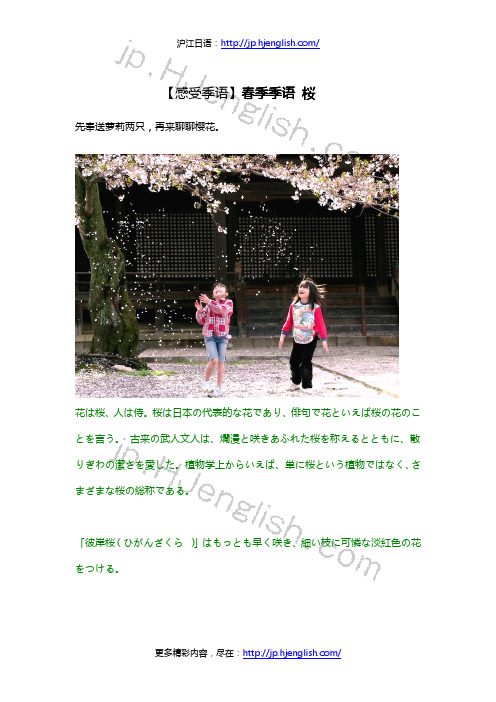 桜