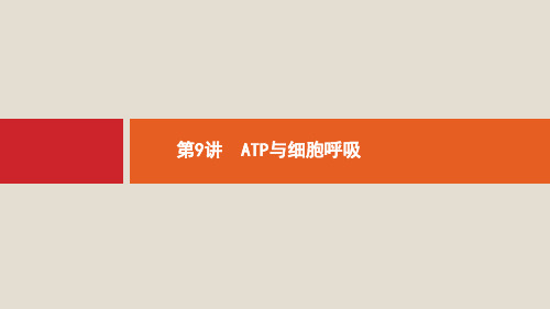 新人教版2020版高考生物大一轮复习第3单元细胞的能量供应和利用9ATP与细胞呼吸课件ppt版本