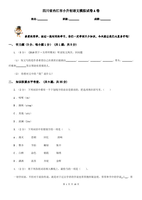 四川省内江市小升初语文模拟试卷A卷