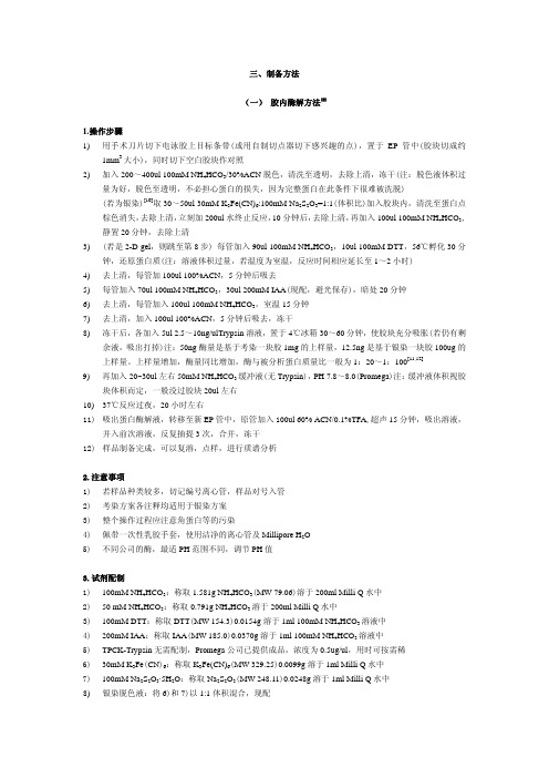 蛋白胶内酶解方法