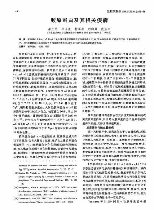 胶原蛋白及其相关疾病