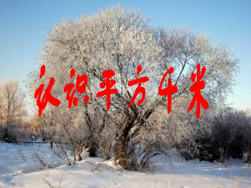 五年级上册数学课件-2.7 认识平方千米丨苏教版 (共17张PPT)