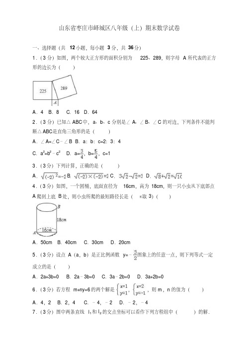 2019-2020年枣庄市峄城区北师大八年级上册期末数学试卷有答案【优质版】