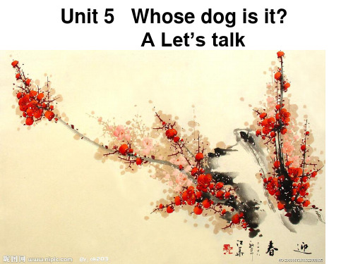 unit5Alet's-talk五年级下册英语课件第五单元Atalk