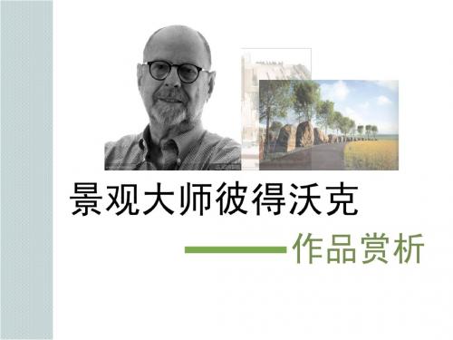 景观大师分析