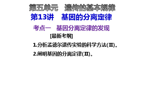 分离定律考点三(2021高三一轮复习)