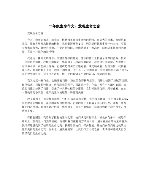 二年级生命作文：发现生命之窗