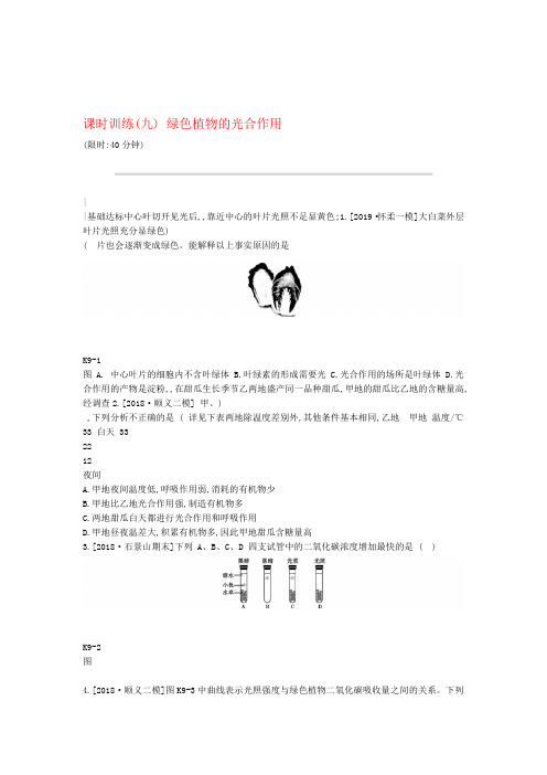 北京专版中考生物复习主题四生物圈中的绿色植物课时训练09绿色植物的光合作用