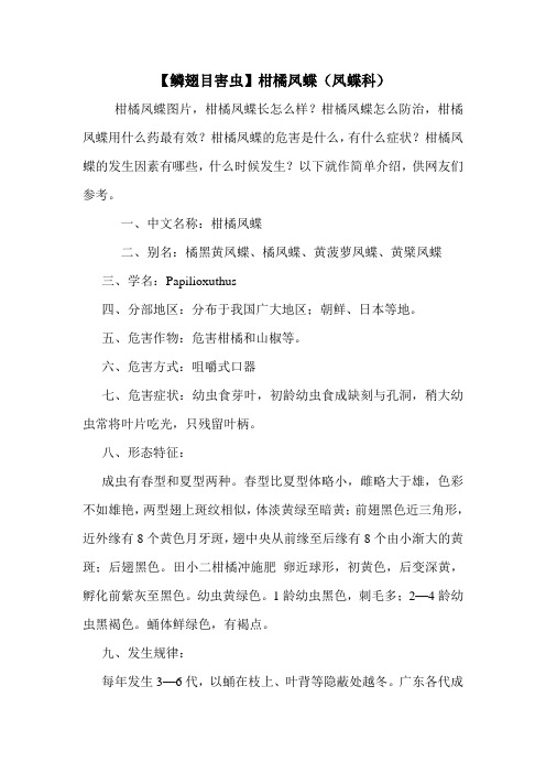【鳞翅目害虫】柑橘凤蝶(凤蝶科)