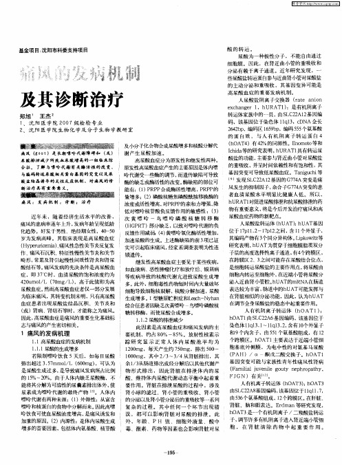 痛风的发病机制及其诊断治疗
