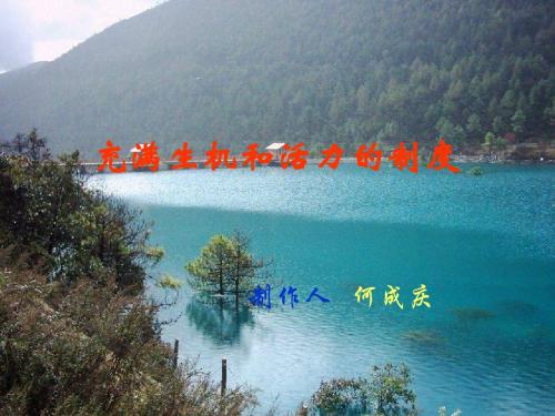 充满生机和活力的制度