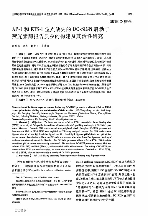 AP-1和ETS-1位点缺失的DC-SIGN启动子荧光素酶报告质粒的构建及其活性研究