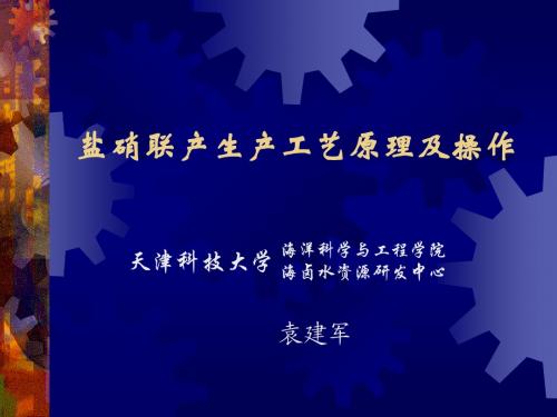 盐硝联产生产工艺原理及