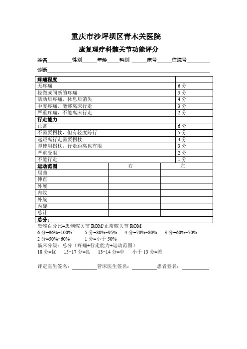 髋关节临床功能评分