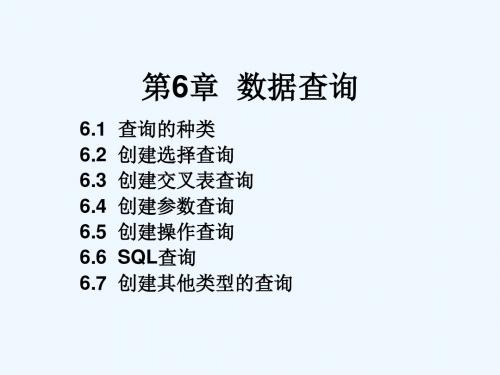 Access2003_第6章数据查询