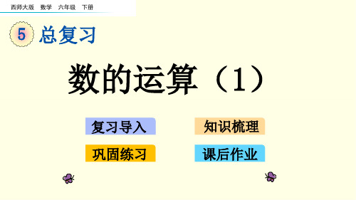 西师大六下数学课件-数的运算