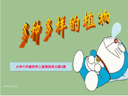 教科版科学六年级上册《多种多样的植物》PPT