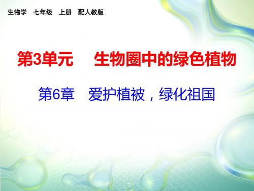 2019-2020学年人教版七年级生物上册教学课件：第三单元 第6章(共22张PPT)