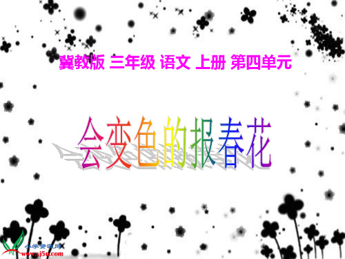 冀教版三年级语文上册ppt课件会变色的报春花