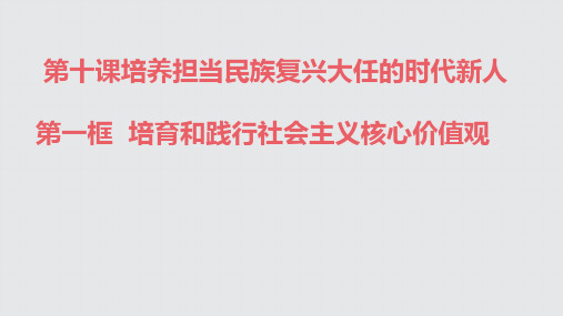 10.1-培育和践行核心价值观课件PPT