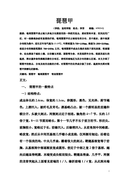 琵琶甲