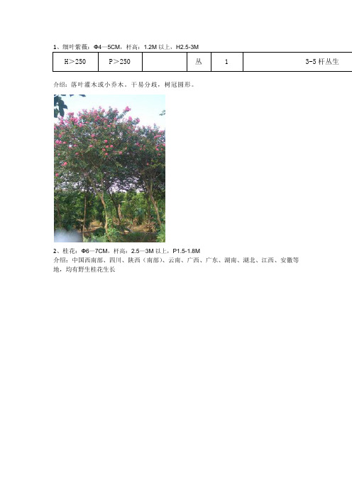 华东地区苗木详解