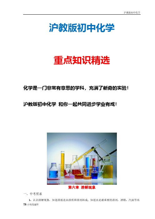 沪教科版初中花谢九年级下册 第六章 溶解现象(第一课时)复习导学案 
