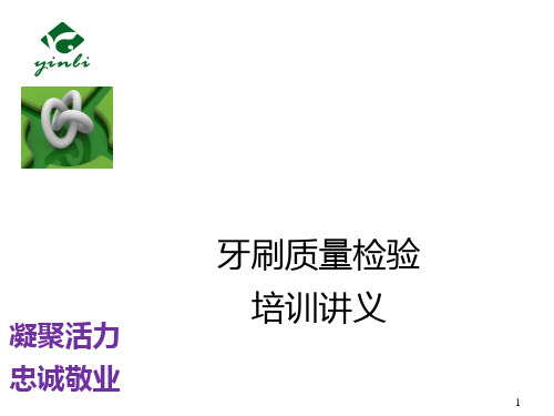 牙刷标准全套ppt课件