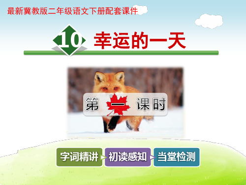 幸运的一天PPT课件
