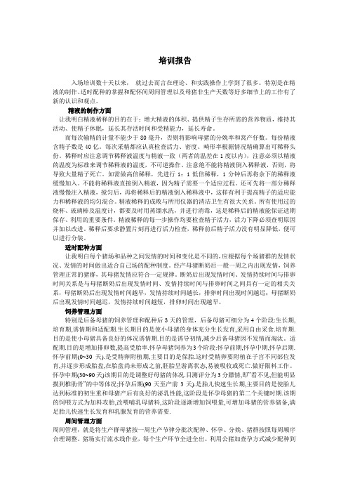 猪场人工授精培训报告