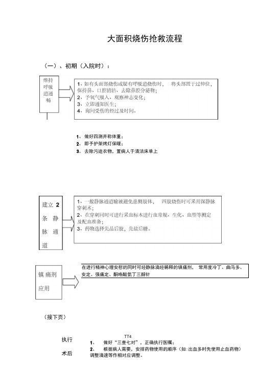 大面积烧伤的抢救流程