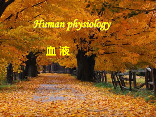 血液的组成与功能 ppt课件