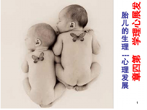 第四章 胎儿期生理心理发展演示课件