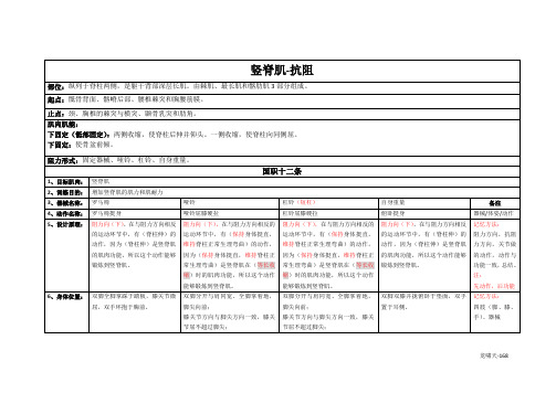 竖脊肌训练详解