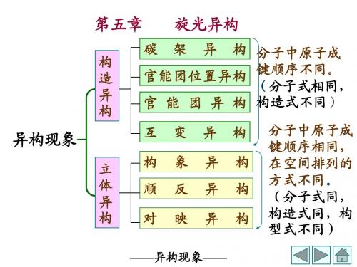 chapter5-旋光异构