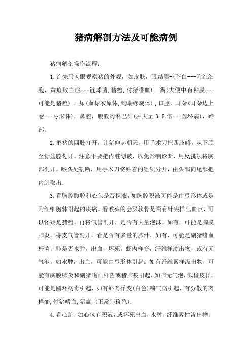 猪病解剖方法及可能病例