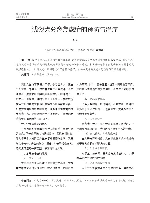 浅谈犬分离焦虑症的预防与治疗