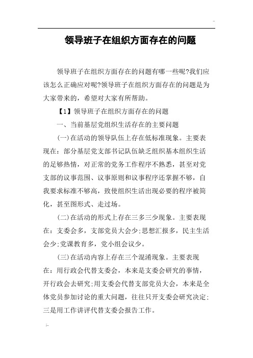 领导班子在组织方面存在的问题