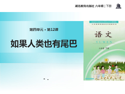 《如果人类也有尾巴》PPT