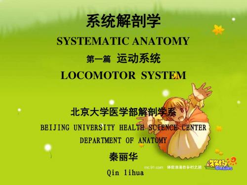 QIN关节,肌学2010