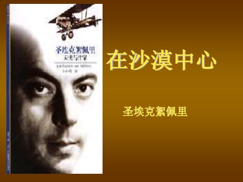 《在沙漠中心》