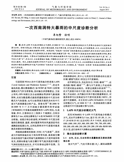 一次西南涡特大暴雨的中尺度诊断分析