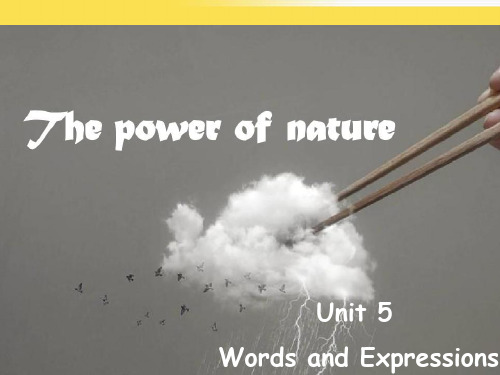 【公开课课件】新人教版英语选修六Unit 5 The power of nature Words and Expressions