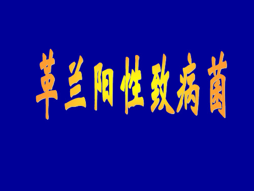 凝固酶阴性葡萄球菌致病